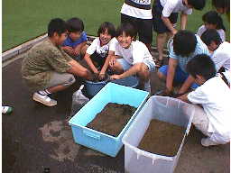 メダカ池を作る子供