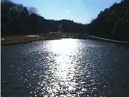 日を反射する池